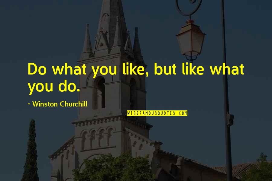 Good Auto Repair Quotes By Winston Churchill: Do what you like, but like what you