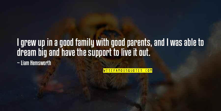 Good Big Family Quotes By Liam Hemsworth: I grew up in a good family with