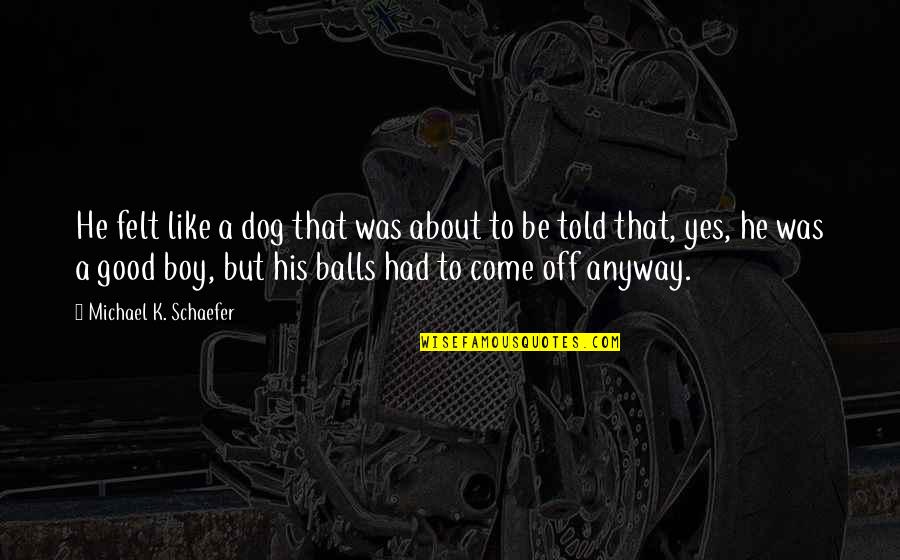 Good Boy Quotes By Michael K. Schaefer: He felt like a dog that was about