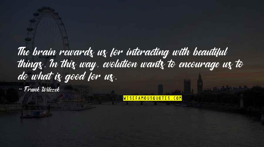 Good Brain Quotes By Frank Wilczek: The brain rewards us for interacting with beautiful