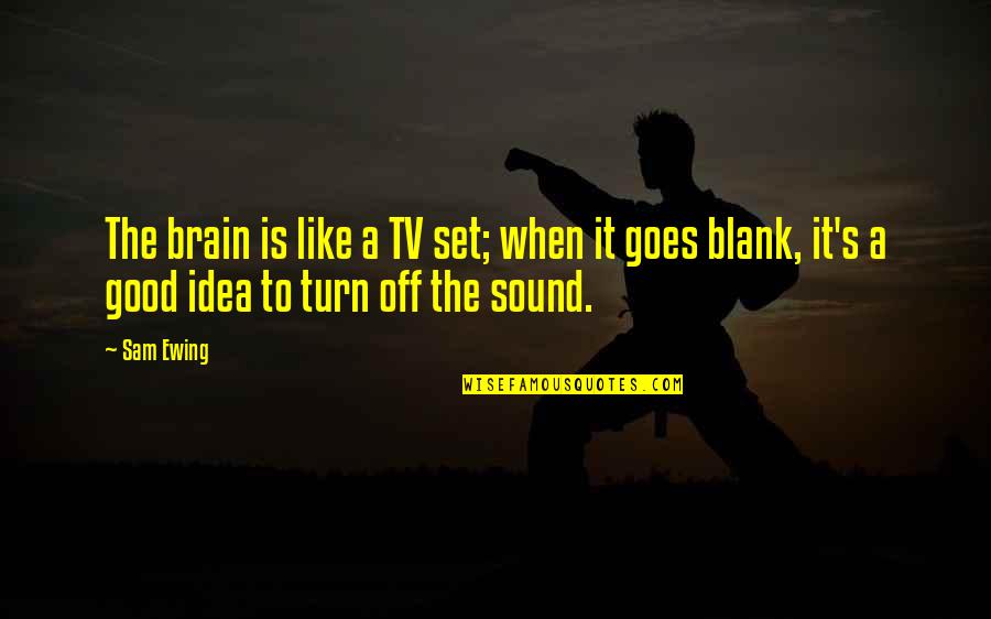 Good Brain Quotes By Sam Ewing: The brain is like a TV set; when