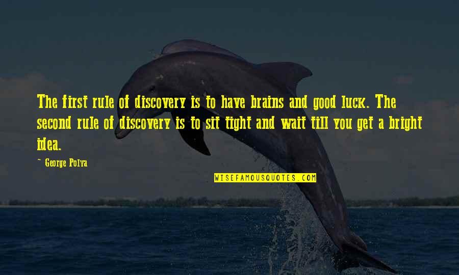 Good Brains Quotes By George Polya: The first rule of discovery is to have