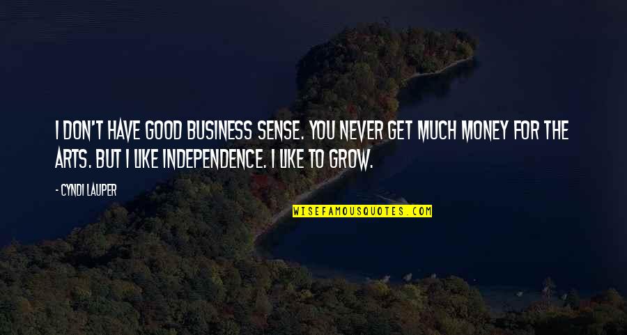 Good Business Sense Quotes By Cyndi Lauper: I don't have good business sense. You never