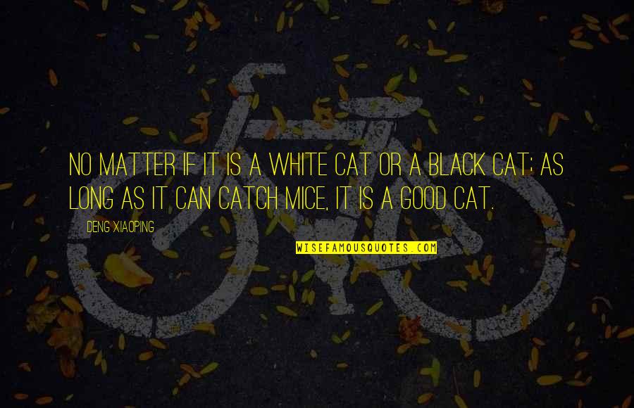 Good Catch Quotes By Deng Xiaoping: No matter if it is a white cat