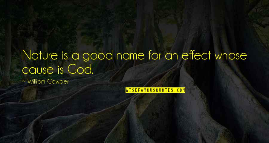 Good Cause And Effect Quotes By William Cowper: Nature is a good name for an effect