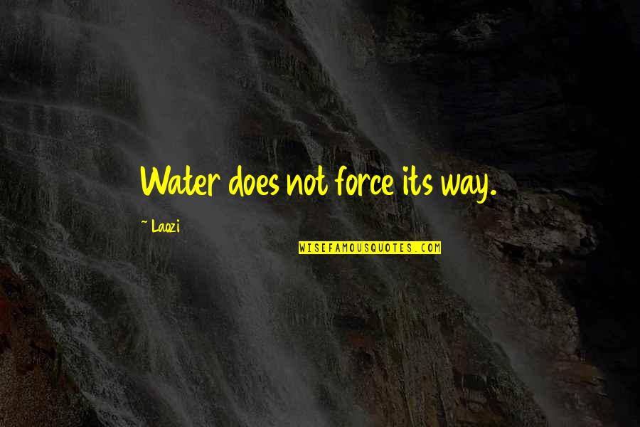 Good Chalk Quotes By Laozi: Water does not force its way.
