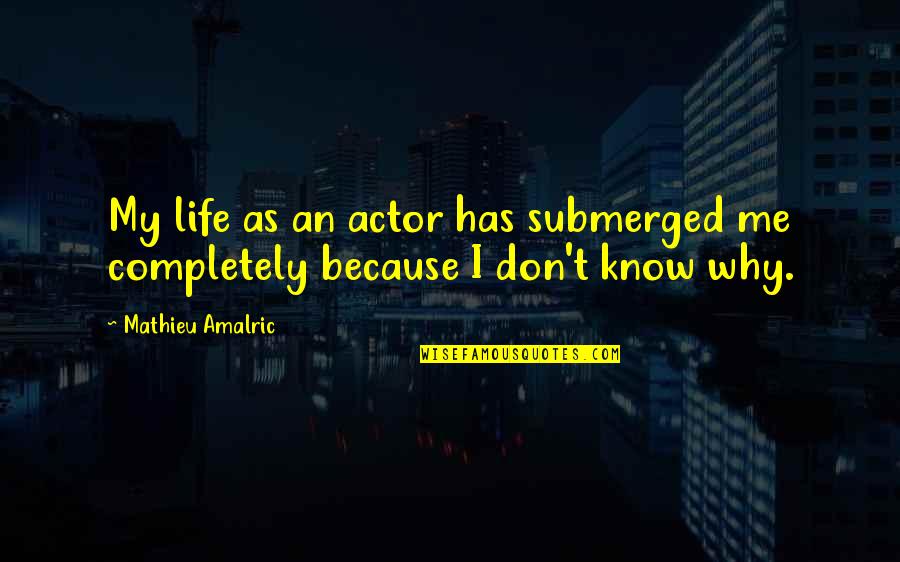 Good Coding Quotes By Mathieu Amalric: My life as an actor has submerged me