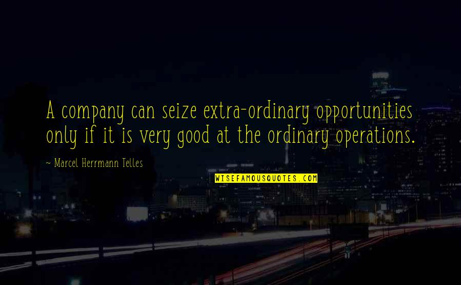 Good Company Quotes By Marcel Herrmann Telles: A company can seize extra-ordinary opportunities only if