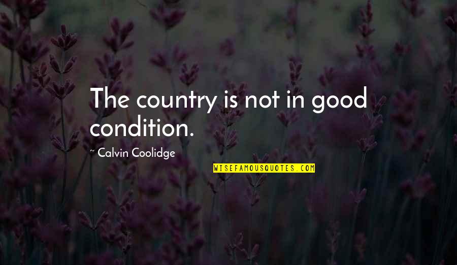 Good Condition Quotes By Calvin Coolidge: The country is not in good condition.