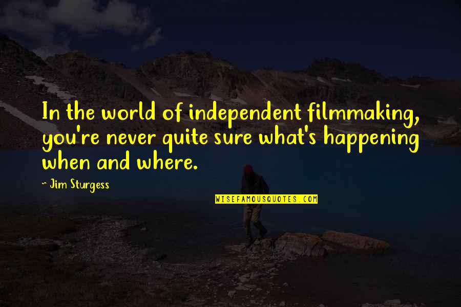 Good Coolness Quotes By Jim Sturgess: In the world of independent filmmaking, you're never Good Coolness Quotes By Jim Sturgess: In the world of independent filmmaking, you're never
