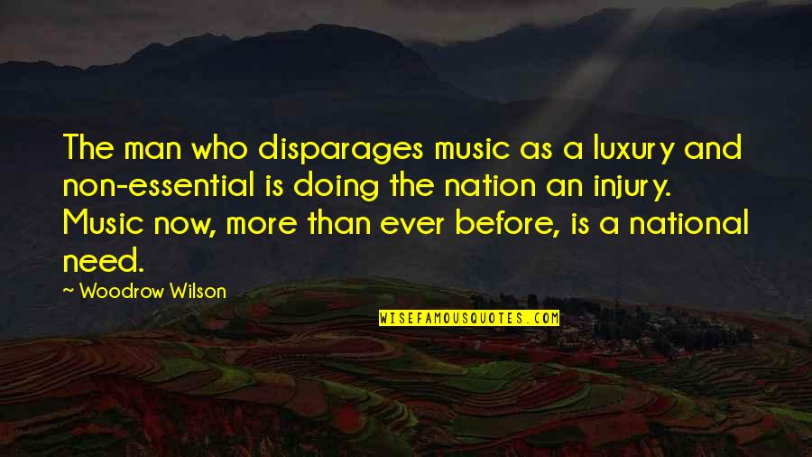 Good Credit Score Quotes By Woodrow Wilson: The man who disparages music as a luxury