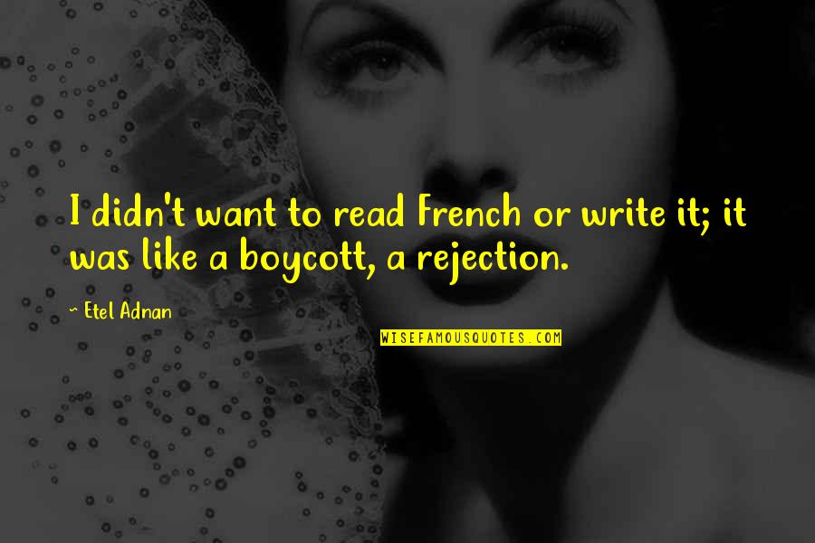 Good Cudi Quotes By Etel Adnan: I didn't want to read French or write