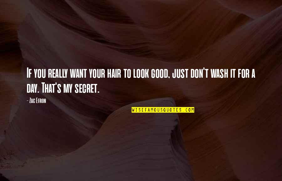 Good Day To Day Quotes By Zac Efron: If you really want your hair to look