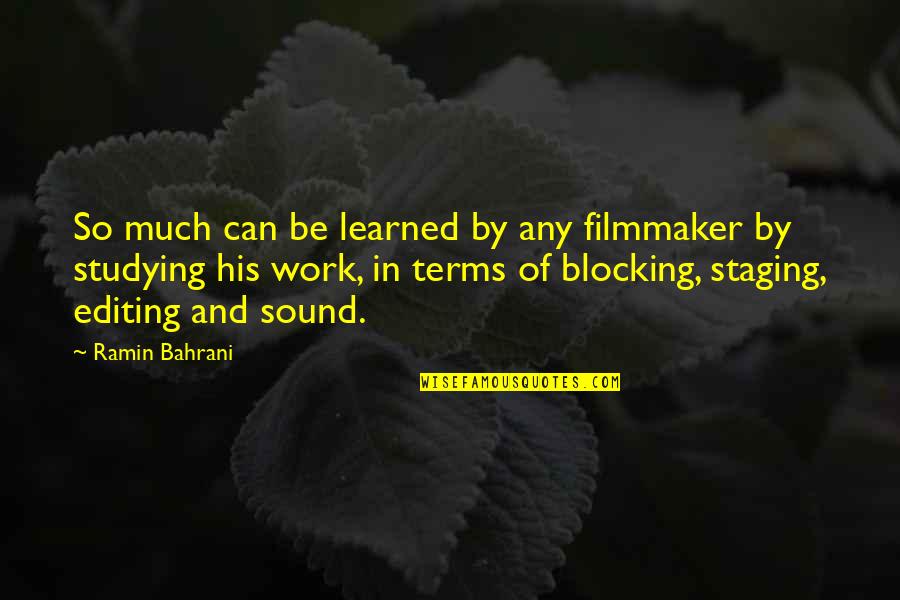Good Daycare Quotes By Ramin Bahrani: So much can be learned by any filmmaker