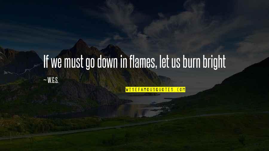 Good Deer Quotes By W.G.S.: If we must go down in flames, let