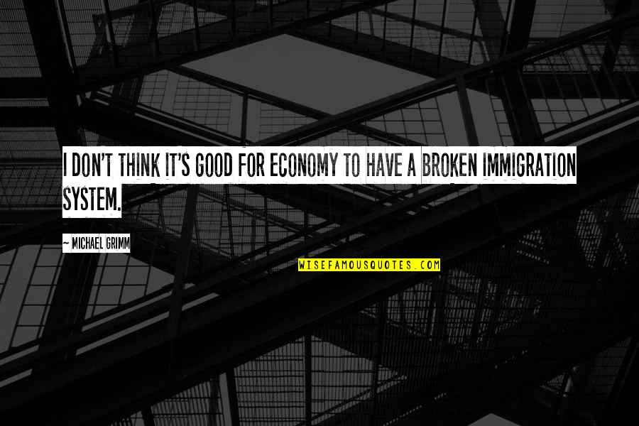 Good Economy Quotes By Michael Grimm: I don't think it's good for economy to