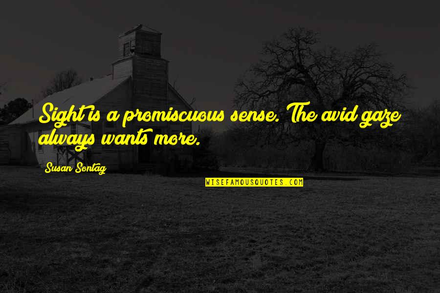 Good Editors Quotes By Susan Sontag: Sight is a promiscuous sense. The avid gaze