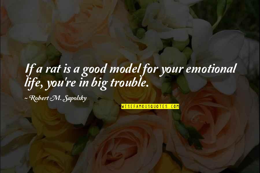 Good Emotional Life Quotes By Robert M. Sapolsky: If a rat is a good model for Good Emotional Life Quotes By Robert M. Sapolsky: If a rat is a good model for