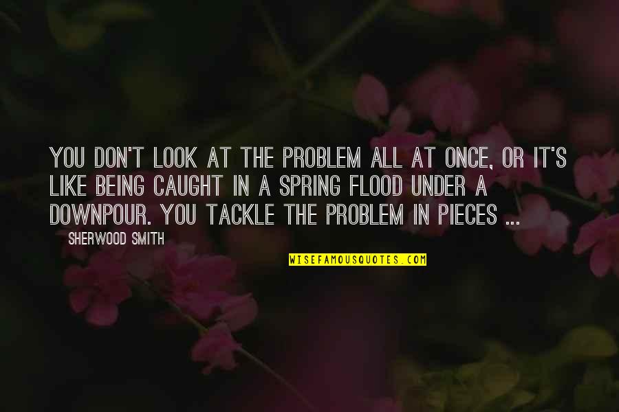 Good Essay Writing Quotes By Sherwood Smith: You don't look at the problem all at