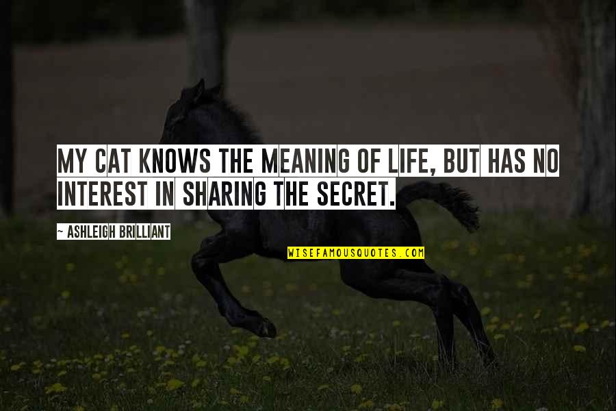Good Evening Peeps Quotes By Ashleigh Brilliant: My cat knows the meaning of life, but