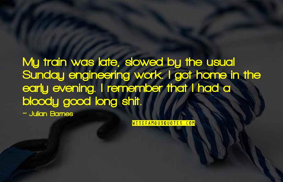 Good Evening Quotes By Julian Barnes: My train was late, slowed by the usual