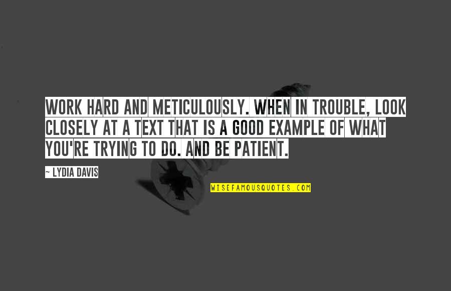 Good Example Quotes By Lydia Davis: Work hard and meticulously. When in trouble, look Good Example Quotes By Lydia Davis: Work hard and meticulously. When in trouble, look