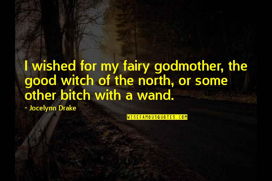 Good Fairy Quotes By Jocelynn Drake: I wished for my fairy godmother, the good