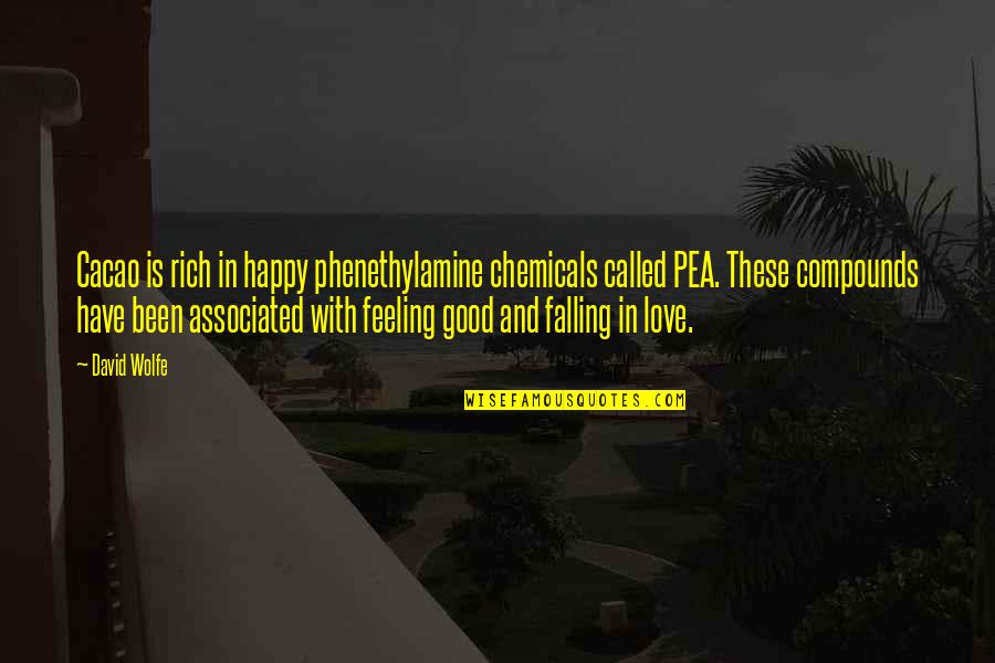 Good Feeling Of Love Quotes By David Wolfe: Cacao is rich in happy phenethylamine chemicals called