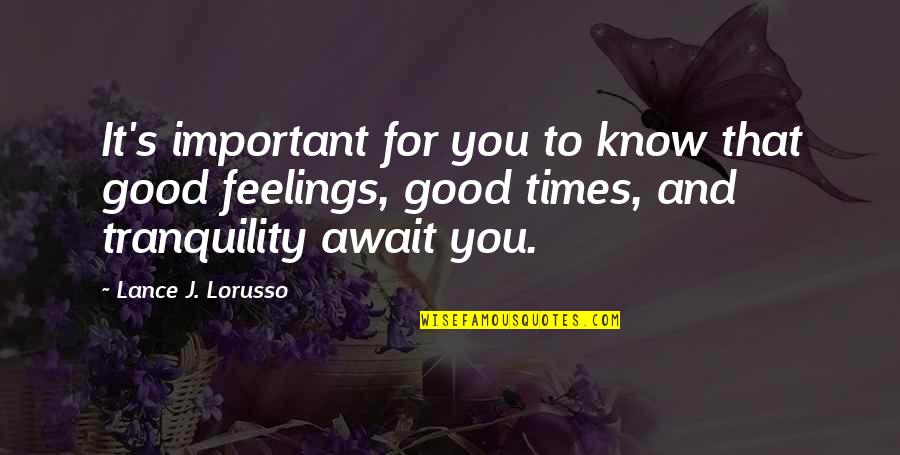 Good Feelings Quotes By Lance J. Lorusso: It's important for you to know that good