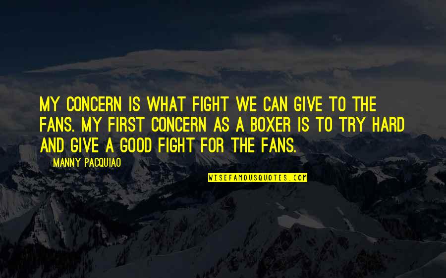 Good Fight Quotes By Manny Pacquiao: My concern is what fight we can give