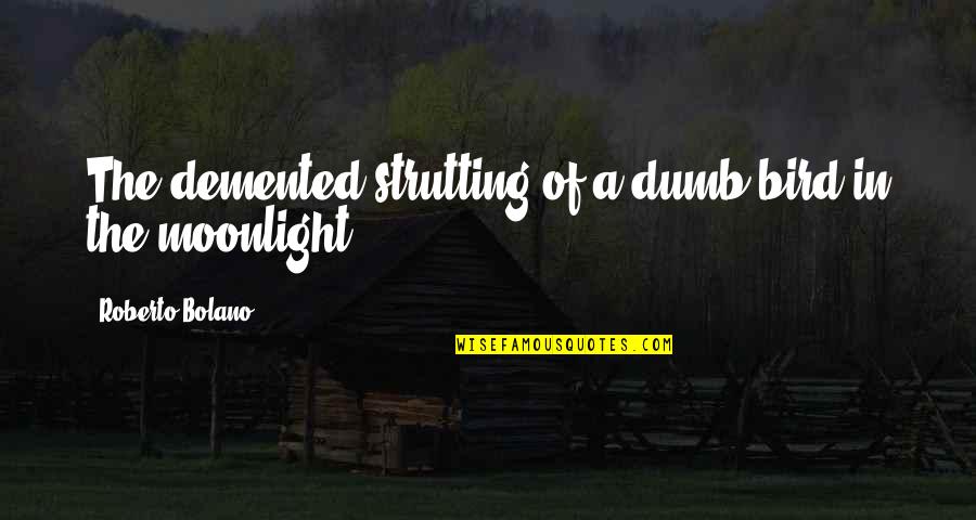 Good Fight Satc Quotes By Roberto Bolano: The demented strutting of a dumb bird in Good Fight Satc Quotes By Roberto Bolano: The demented strutting of a dumb bird in