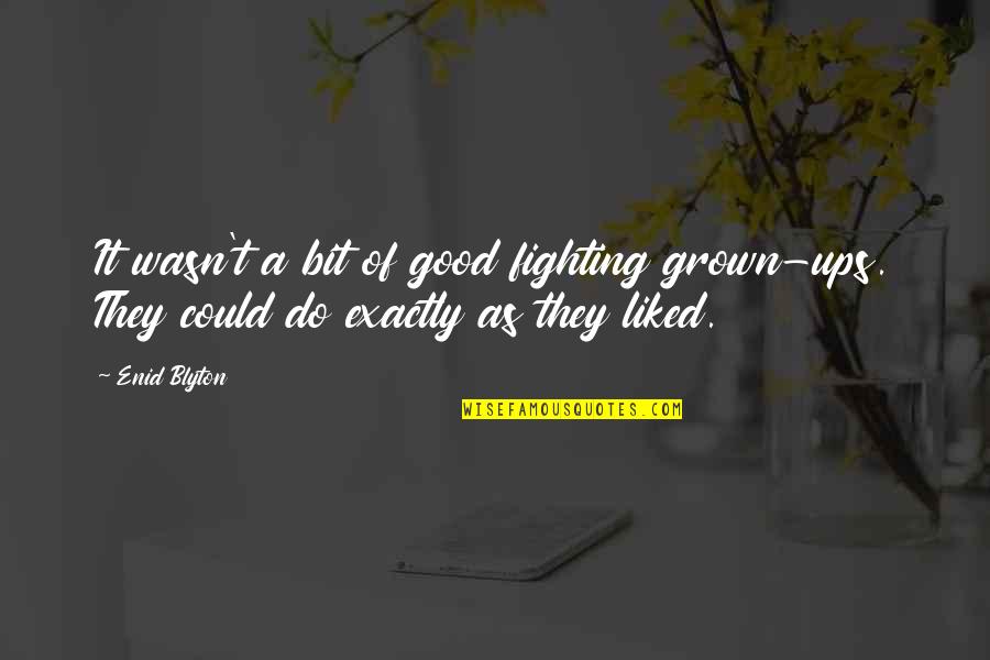 Good Fighting Quotes By Enid Blyton: It wasn't a bit of good fighting grown-ups.