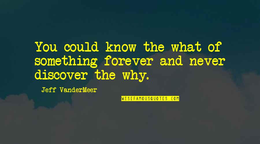 Good Food Good Wine Quotes By Jeff VanderMeer: You could know the what of something forever