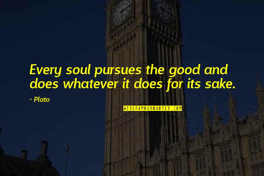 Good For The Soul Quotes By Plato: Every soul pursues the good and does whatever