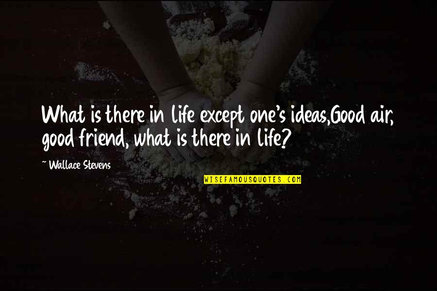 Good Friend And Best Friend Quotes By Wallace Stevens: What is there in life except one's ideas,Good