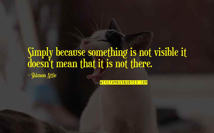 Good Friends During Hard Times Quotes By Shimon Attie: Simply because something is not visible it doesn't