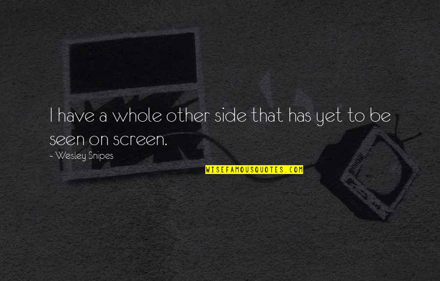 Good Friends Never Say Goodbye Quotes By Wesley Snipes: I have a whole other side that has