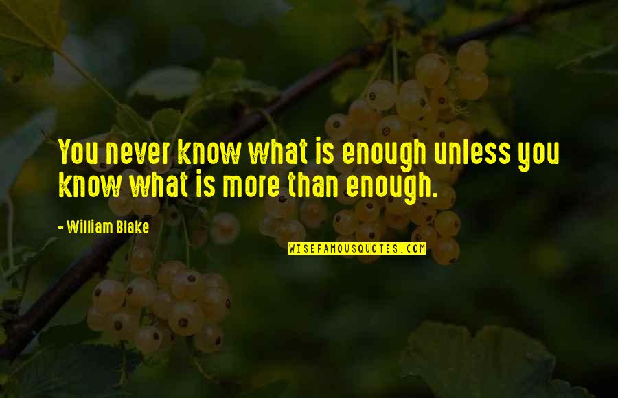 Good Future Life Quotes By William Blake: You never know what is enough unless you