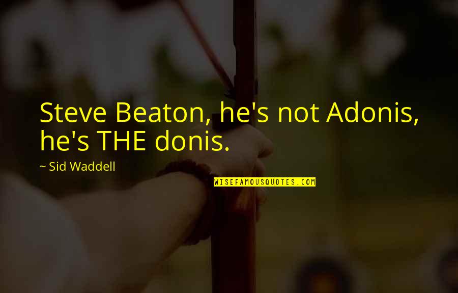 Good Glamorous Quotes By Sid Waddell: Steve Beaton, he's not Adonis, he's THE donis.