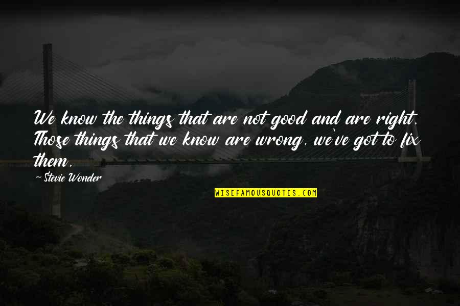Good Got Quotes By Stevie Wonder: We know the things that are not good Good Got Quotes By Stevie Wonder: We know the things that are not good