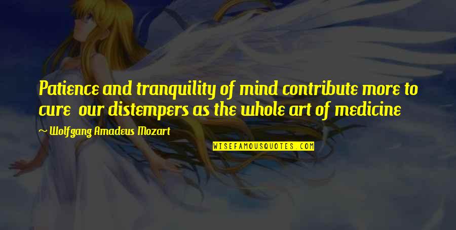 Good Grammar Quotes By Wolfgang Amadeus Mozart: Patience and tranquility of mind contribute more to