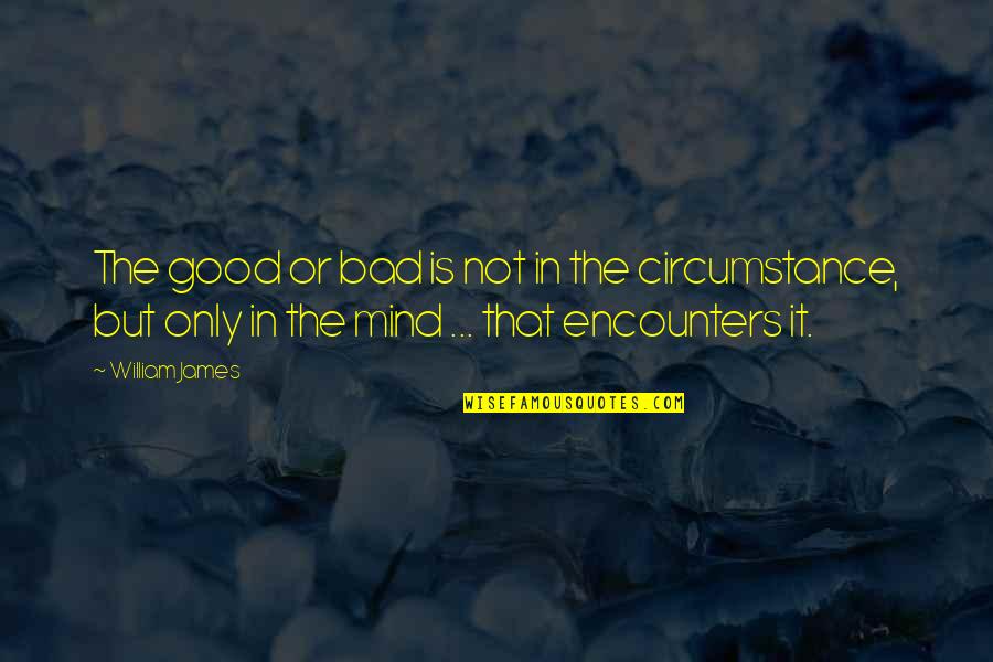 Good Gratitude Quotes By William James: The good or bad is not in the Good Gratitude Quotes By William James: The good or bad is not in the