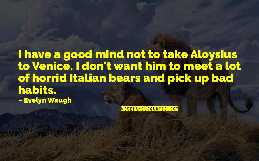 Good Habits Quotes By Evelyn Waugh: I have a good mind not to take
