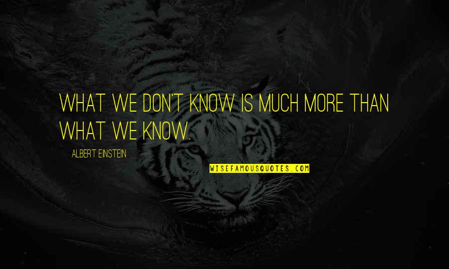 Good Hearted People Always Get Hurt Quotes By Albert Einstein: What we don't know is much more than Good Hearted People Always Get Hurt Quotes By Albert Einstein: What we don't know is much more than