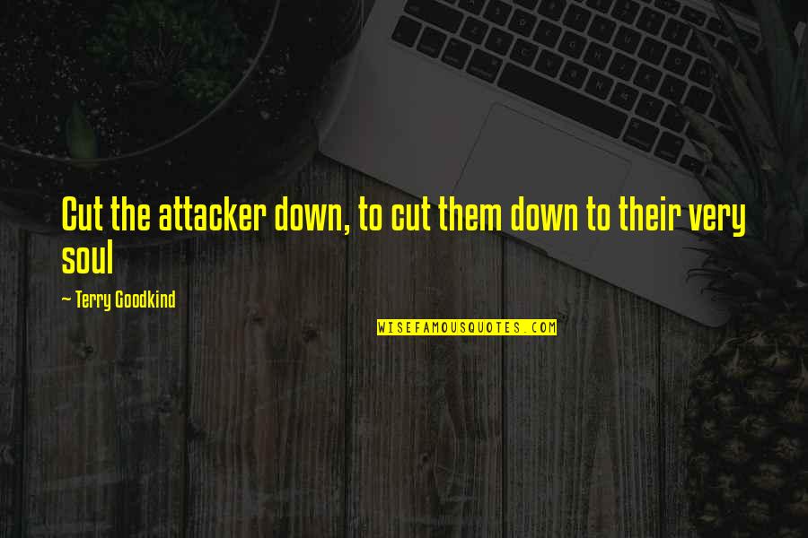 Good Hockey Motivational Quotes By Terry Goodkind: Cut the attacker down, to cut them down