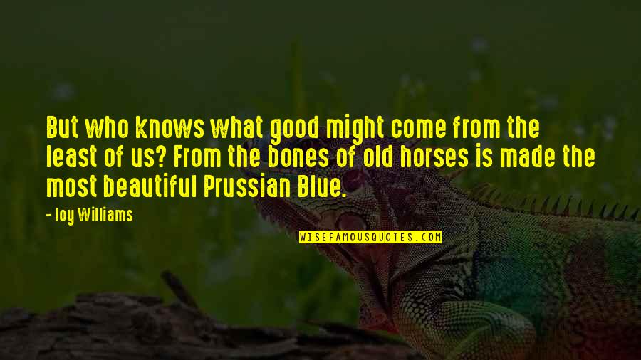 Good Horses Quotes By Joy Williams: But who knows what good might come from
