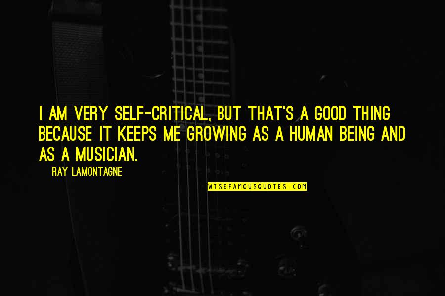 Good Human Being Quotes By Ray Lamontagne: I am very self-critical, but that's a good