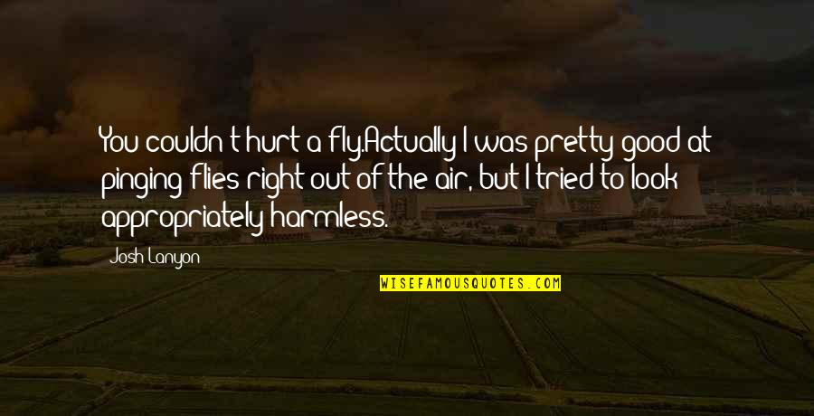 Good Hurt Quotes By Josh Lanyon: You couldn't hurt a fly.Actually I was pretty Good Hurt Quotes By Josh Lanyon: You couldn't hurt a fly.Actually I was pretty
