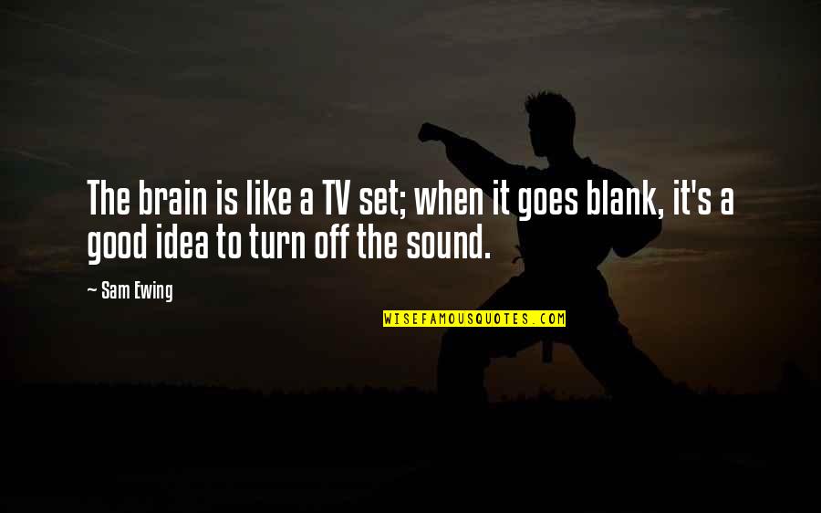 Good Ideas Quotes By Sam Ewing: The brain is like a TV set; when