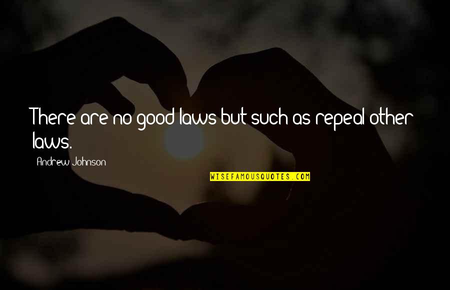 Good In Laws Quotes By Andrew Johnson: There are no good laws but such as